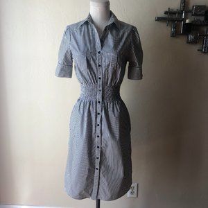 Zara pinstripe shirtdress